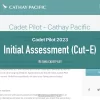 Cadet pilot prep. 2023 | Initial Assessment (pilot attitude test) Chinese